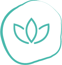 lotus flower drawing