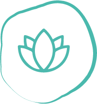 lotus flower drawing